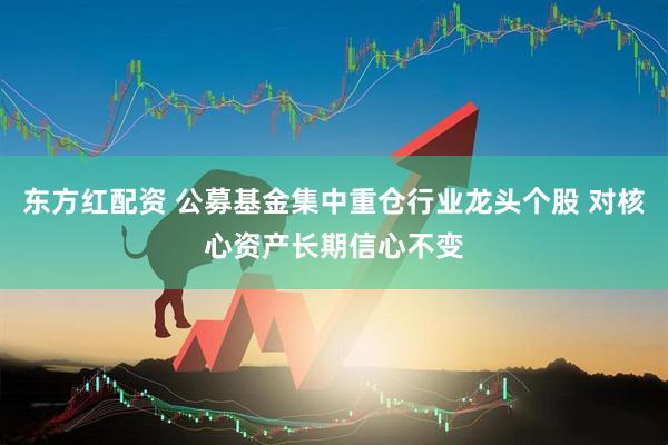 东方红配资 公募基金集中重仓行业龙头个股 对核心资产长期信心不变