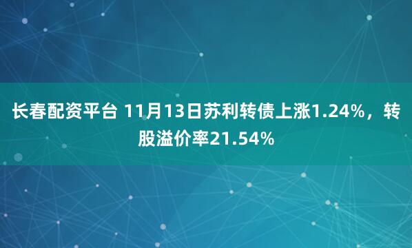长春配资平台 11月13日苏利转债上涨1.24%，转股溢价率21.54%